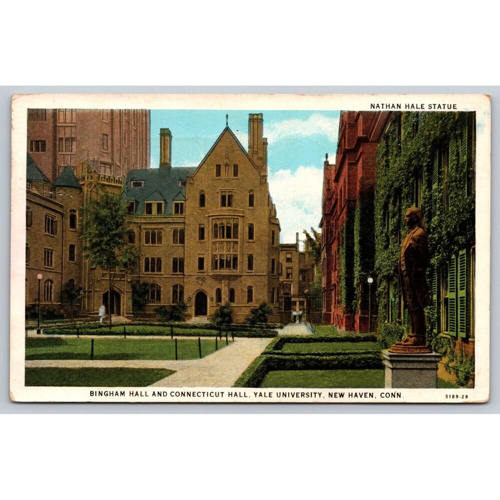 Vintage Postcard Yale University Bingham Connecticut Hall Nathan Hale Statue CT